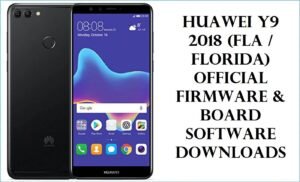 Huawei Y9 2018 (FLA / Florida)